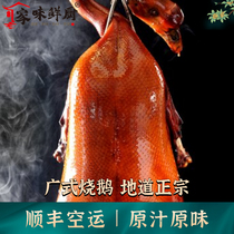 (Shunfeng Air Transport) Authentic Guangdong-style crispy roast goose whole Guangzhou Shunde deep well goose meat fresh goose