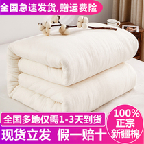 Washable space acrylic cotton quilt fiber cotton wool core mattress spring and autumn winter cotton tire cushion is thickened warm mattress