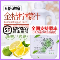 Dunhuang kumquat lemon juice juice drink whole box of watermelon juice concentrated kumquat lemon juice milk tea shop dedicated