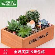 zakka grocery vintage wooden box Wooden box Storage box finishing box Fleshy flower pot Fleshy wooden box