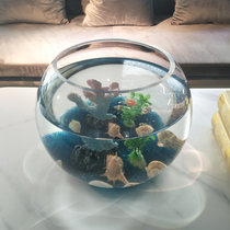 Small goldfish tank Round glass tank Living room desktop creative landscaping Small fish tank Turtle hermit crab feeding tank