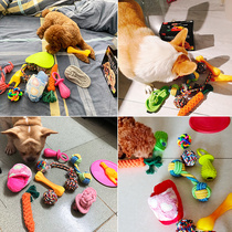 Dog toys Bite-resistant Screaming Desperate screaming Chicken Molar puppies Golden Retriever Teddy Pet Supplies Puppy toy ball