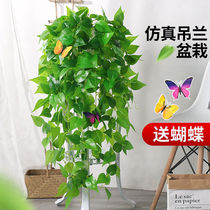 Hanging basket green plant bionic green rattan hanging wall plastic leaf rattan green vine strip green leaf green plant hanging wall