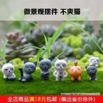 Moss micro-landscape ecological bottle succulent plant doll decoration Grumpy cat DIY decoration material