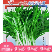 White terrier jian ye spinach seed leaflets White-stem tong xin cai Tung Choi water spinach weng dishes teng cai seed 10 grams of 20 grams