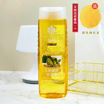 Bee Flower Shampoo shampoo with 500ml shampoo Shampoo Ginger Beer with strong ligaments and smooth and smooth