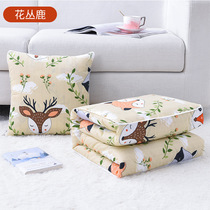 Pillow quilt dual-use nap pillow quilt childrens cute pillow cushion Office folding air conditioning blanket two-in-one
