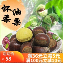 Huairou specialty chestnut fresh chestnut Huairou chestnut oil CHESTNUT Chestnut CHESTNUT Chestnut 2021 2500g