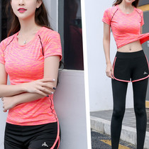 Yoga clothing spring and summer professional high-end fashion temperament quick-drying net red gym running good-looking sports suit women