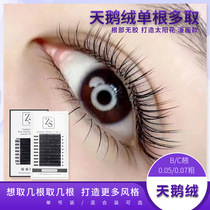 Velvet eyelash Single root multi-take the sun Flower comic book Manual Flowering Chinese Teething Eyelash Beauty Mascara Special