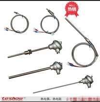 New k-type dual probe type and armored dual thermal resistance wzp-220 probe pt100teshow Taisong