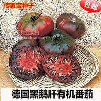 Black foie gras organic black tomato seeds Super sweet super delicious fruit seeds Tomato seedlings vegetable seeds delicious