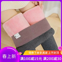 Japan plus velvet thickened underpants womens thick lamb suede high waist elastic warm pants big code autumn winter cotton pants