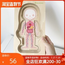 Korea goryeobaby Childrens human body multi-layer puzzle Medical human body structure Wooden puzzle Wooden toy