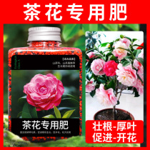 Special fertilizer for camellia tree flower fertilizer potassium dihydrogen phosphate flower slow-release fertilizer general-purpose Azalea Special fertilizer