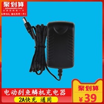 12V Volt Electric Scrape Fish Scale Machine Commercial Beating Fish Scale Fish Scale Scraper to Fish Scale Killer Fish Charger