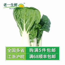 (Old one fresh) fresh vegetables cream cabbage milk cabbage 500g
