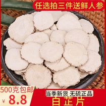 Angelica tablets 500g spices and spices Daquan batch powder Hair white Zhi root mask powder White stop braised meat spices and herbs seeds