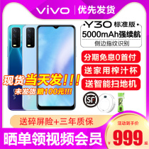 Spot quick hair vivo Y30 Standard Version New Product full Netcom mobile phone student vivoy30 voviy30 4G mobile phone elderly machine thousand yuan machine vivo mobile phone v