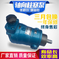 10SCY 25SCY 40SCY 63 80 108 100SCY 160SCY250SCY14-1B Plunger pump