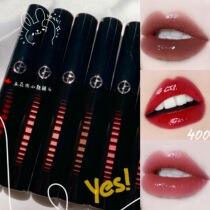 Armani Armani new Mirror black tube Mirror Water Light 5G lip glaze 400 401 503 200