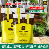 Stanley potassium dihydrogen phosphate phosphate potash fertilizer universal flower fertilizer potted plant household flower-grown compound foliar fertilizer