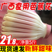 Guangxi wild banana flower 5kg fresh edible flower color plantain flower bud banana heart banana bud whole box