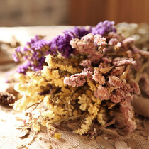 Yunnan forget-me-not dry flower bouquet DIY eternal flower decoration Flower home living room desktop flower arrangement art flower arrangement