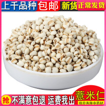 Guizhou Quality Selected Small Miscellaneous Grain Farmhouse New Goods Pearl Barley Ringring Powders Tears Rice Rinn 500 gr