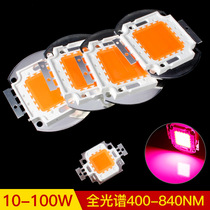 High-power 10-100W full-spectrum LED lamp beads 380-840nm integrated plant lights full-band lamp beads