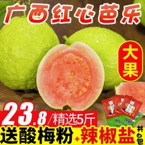 Guangxi specialty red heart guava guava fruit should season Bale 5kg whole box of pan pomegranate Fresh 10