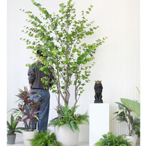  Sicilian simulation plant Japanese hanging bell tree Nordic INS home living room with green leaf office decoration