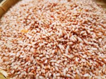 Red rice red soft rice Yunnan rice grains soft waxy sweet farmhouse rice terrace red rice porridge 5KG
