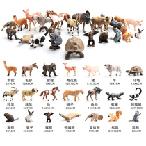 Simulation Animal Toy Suit Land Animal Model Solid Pendulum Wild Forest Zoo Baby Cognition