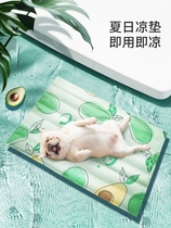  Pet cooling pad Ice pad Ice bag cushion Dog supplies Daquan summer cat summer cooling artifact supplies anti-bite