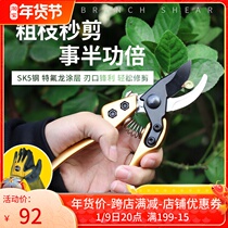 Pruning shears fruit trees picking pruning shears horticultural shears SK5 stainless steel short handle bonsai flowers and small branches shears