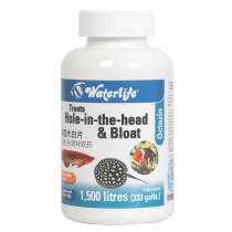 British fish big white tablets Aquarium Fish Fish medicine