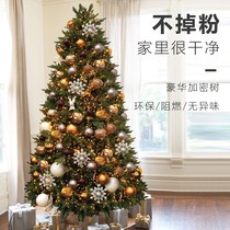 Christmas Tree Home Package Small Encrypted Simulation 15m Luminescent Net Red Ins Style Christmas Ornament Ornament