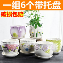 Flower pot Ceramic special clearance with tray Creative meat plant green radish simple orchid household small meaty flower pot