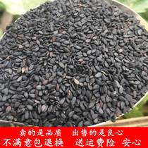 Raw black sesame new pure black sesame clean granules full of sand without dyeing 1 Jin 500 grams can be fried