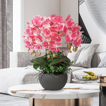 Phalaenopsis simulation flower fake flower living room decoration flower hand orchid flower pot table floral ornaments