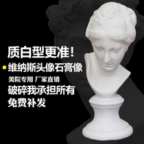 Venus plaster head art sketch teaching aids Plaster head statue sculpture European style home office ornaments