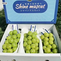 Cisfeng Sunshine Rose Grape 4 Catty Boxes Dress Yunnan Fragrant Print Sunny Wang Qingti Fresh Fruit