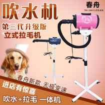 Chunzhou water blower pet hair pulling machine Teddy golden dog vertical hair blower than bear shape dog hair dryer