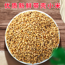 Tiger skin peony parrot feed bird food yellow millet with Shell millet millet millet millet Valley Xuanfeng bird grain Oriole Food 250g