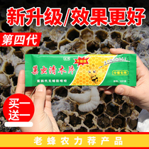 The new fourth generation of nest insects clear wood chips Special bees in bees Green wood nest insects beehive net hanging tablets white-headed pupa
