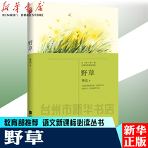 Genuine spot｜Wild grass Lu Xun Lyrical prose poems containing wild Grass poetry Collection Quasi-wind and Moon Talk Essay Anthology Youth Primary and secondary school students Extracurricular books Chinese Modern and contemporary Literature New World Youth ws