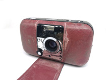 Olympus LT1 imported fool camera film with automatic flash-flitting shots