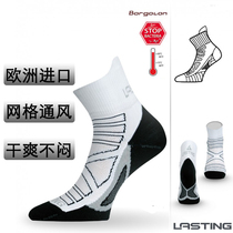 Europe imported Lesidi mens and womens jogging step marathon sports ventilation quick-drying odor reduction socks RPC