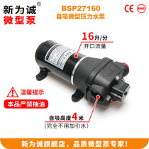 Xinwei Cheng factory direct 12v small water pump dining car hand washing electric diaphragm self-priming BSP27160